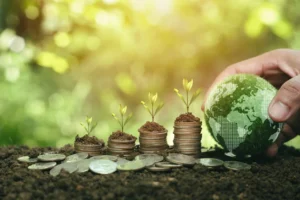 Ensuring an Equitable Finance Deal in Belém